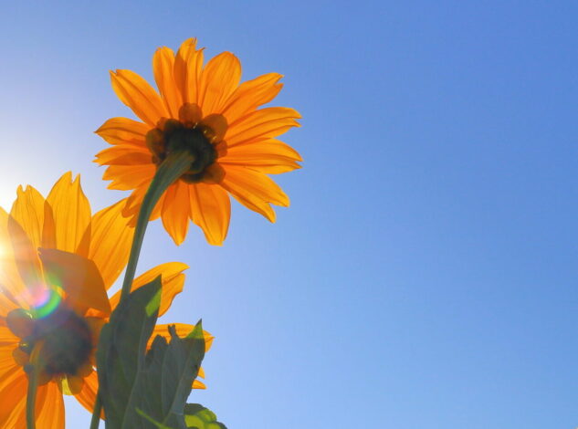 引きこもりや不登校は、本当に「問題」なのだろうか